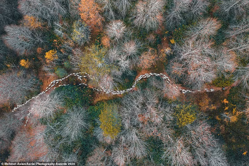 Nhiều ảnh chụp Việt Nam đoạt giải Aerial Photography Awards 2020