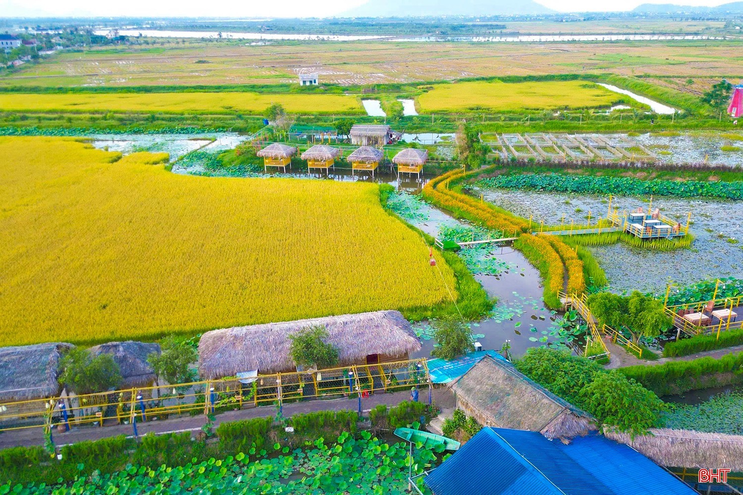 lien-trang.jpg