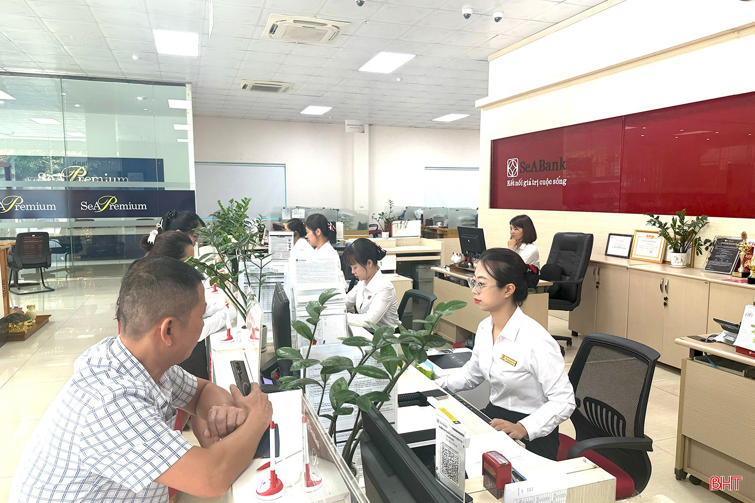 bqbht_br_img-7137-sao-chep.jpg