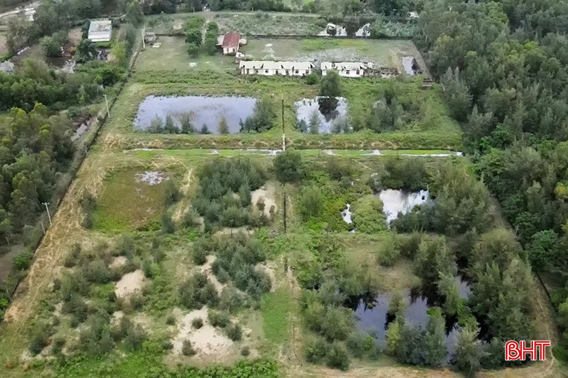 a1-6035.jpg