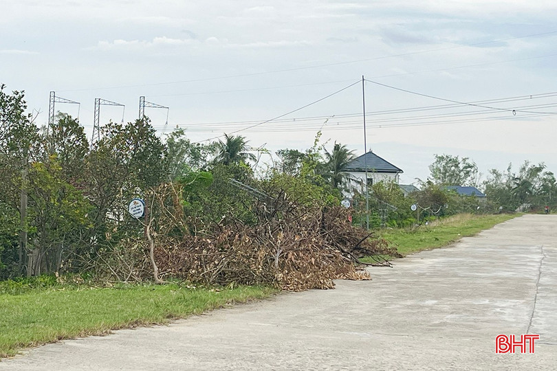 bqbht_br_r2.jpg