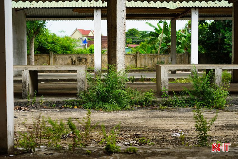 a8.jpg