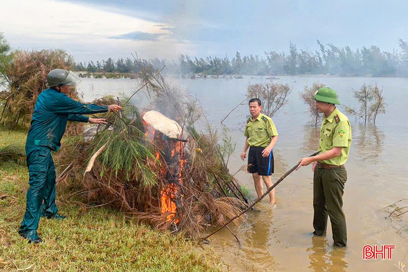 bqbht_br_t4.jpg