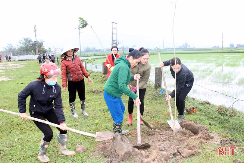 Lãnh đạo Hà Tĩnh tham gia trồng cây đầu xuân Canh Tý tại các địa phương