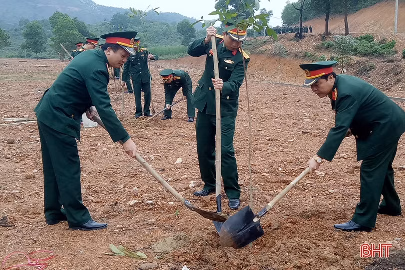 Lực lượng vũ trang Hà Tĩnh trồng hơn 35.000 cây xanh đầu năm