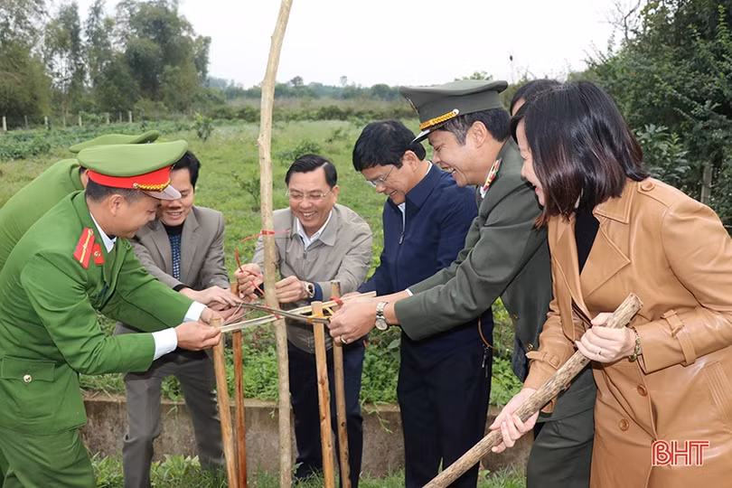 Lãnh đạo Hà Tĩnh tham gia trồng cây đầu xuân Canh Tý tại các địa phương