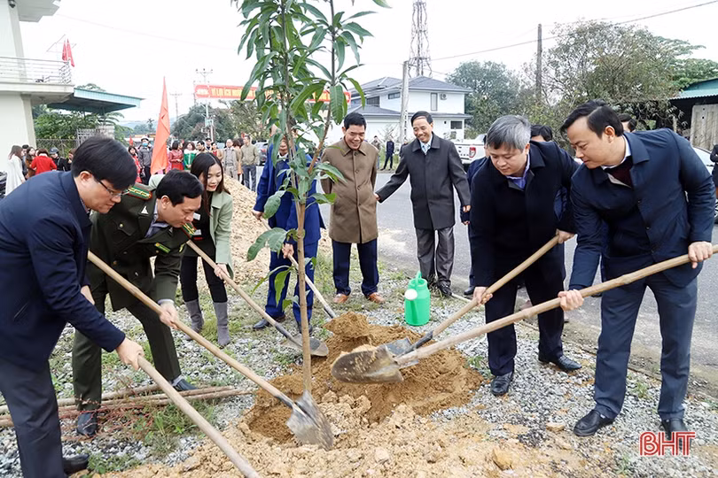 Chủ tịch UBND tỉnh Trần Tiến Hưng kiểm tra sản xuất và tham gia trồng cây đầu xuân tại huyện Vũ Quang