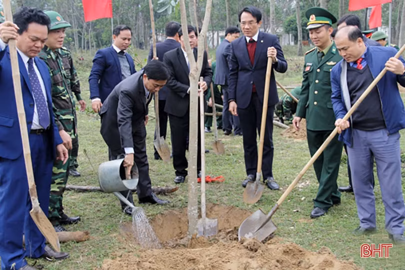 Lãnh đạo Hà Tĩnh tham gia trồng cây đầu xuân Canh Tý tại các địa phương