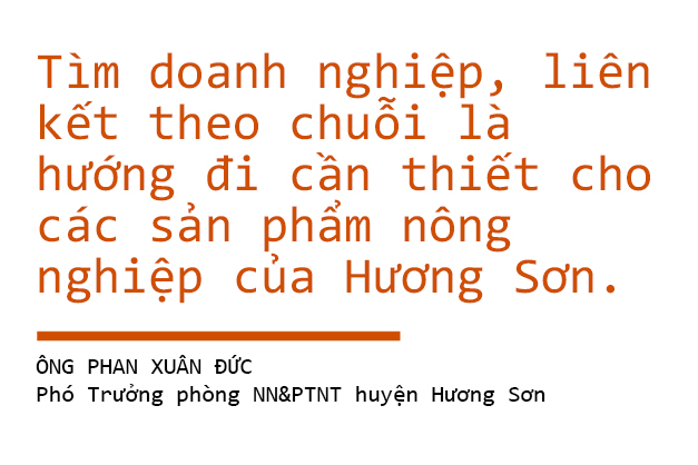 Nâng tầm cam bù, nhung hươu Hà Tĩnh - cần “4 nhà” vào cuộc