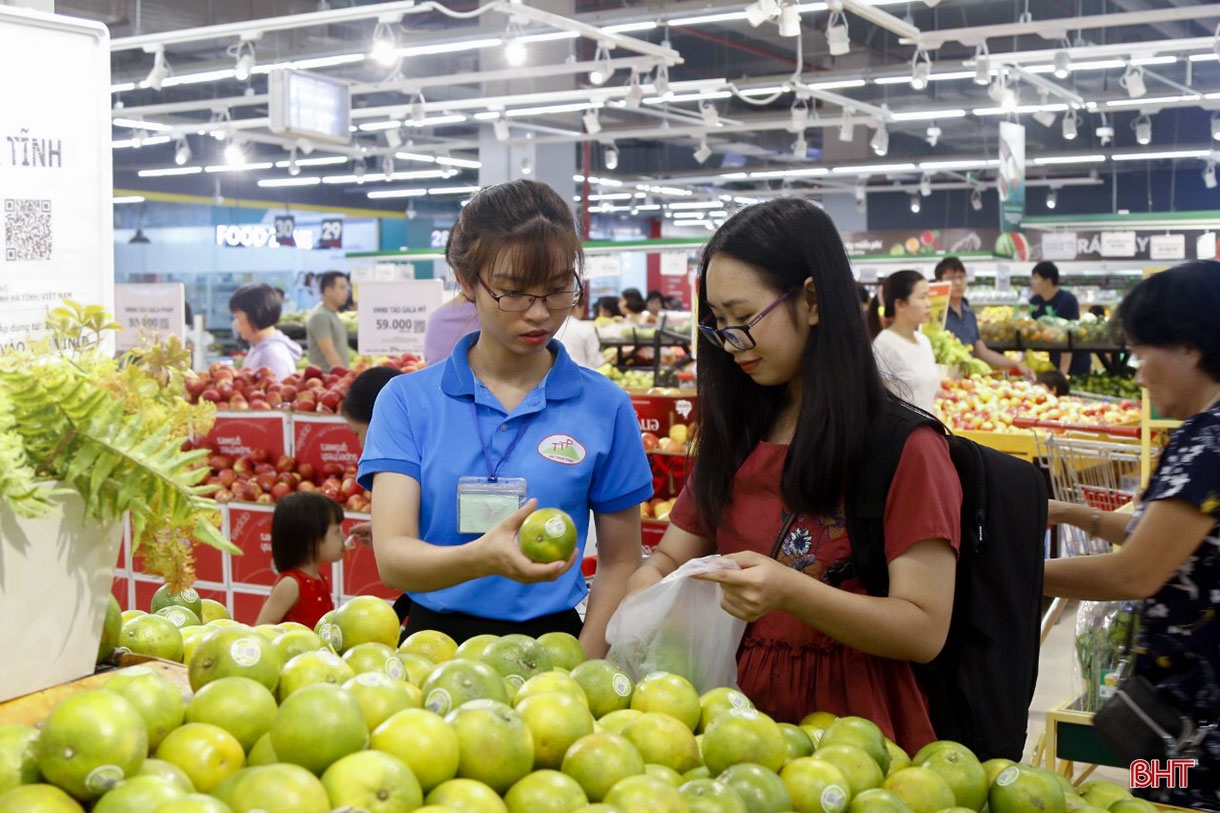 Nâng tầm cam bù, nhung hươu Hà Tĩnh - cần “4 nhà” vào cuộc
