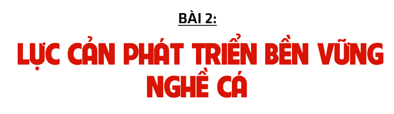 Khai thác gắn với bảo tồn nguồn lợi hải sản - hướng đi tất yếu của ngư dân Hà Tĩnh (bài 2): Lực cản phát triển bền vững nghề cá