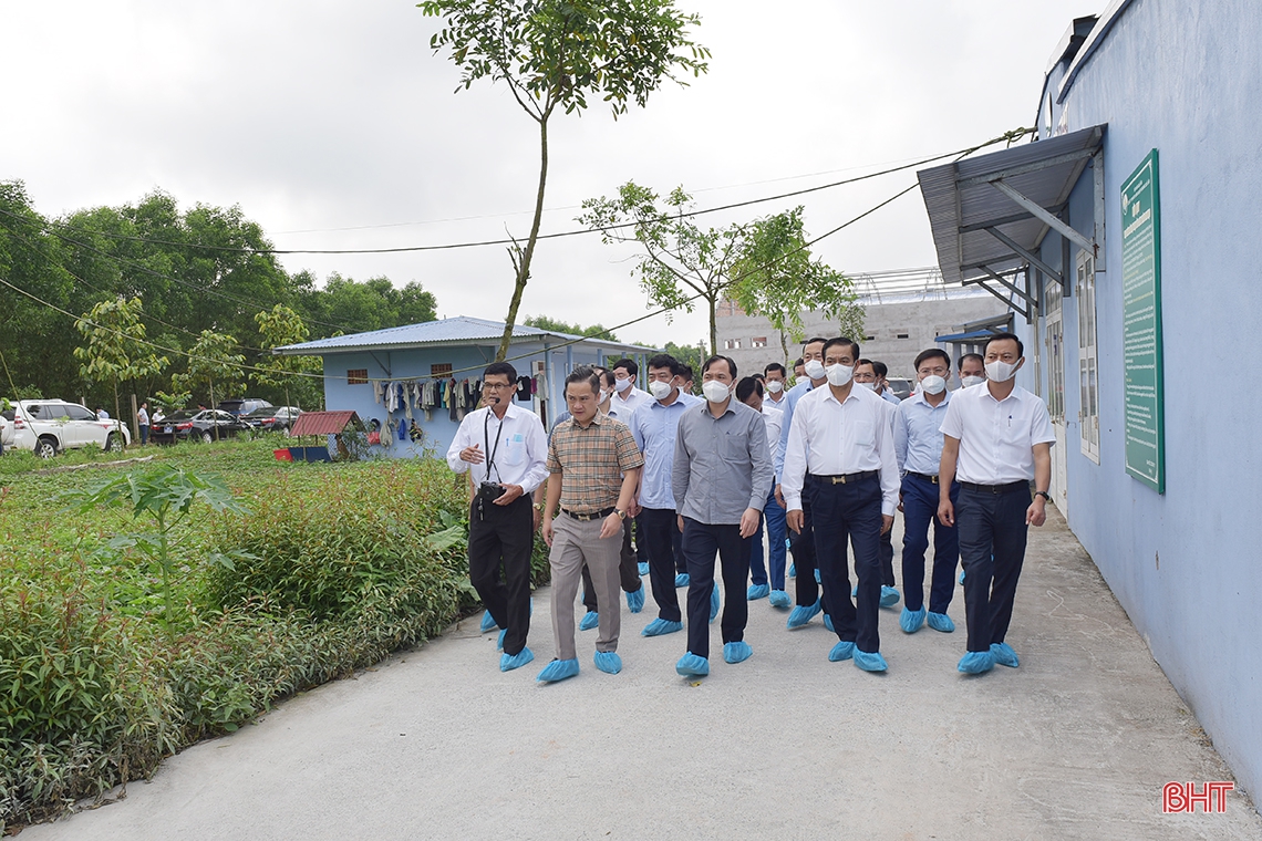 Lãnh đạo tỉnh Hà Tĩnh mong muốn Công ty CP Tập đoàn Quế Lâm chia sẻ kinh nghiệm sản xuất nông nghiệp hữu cơ