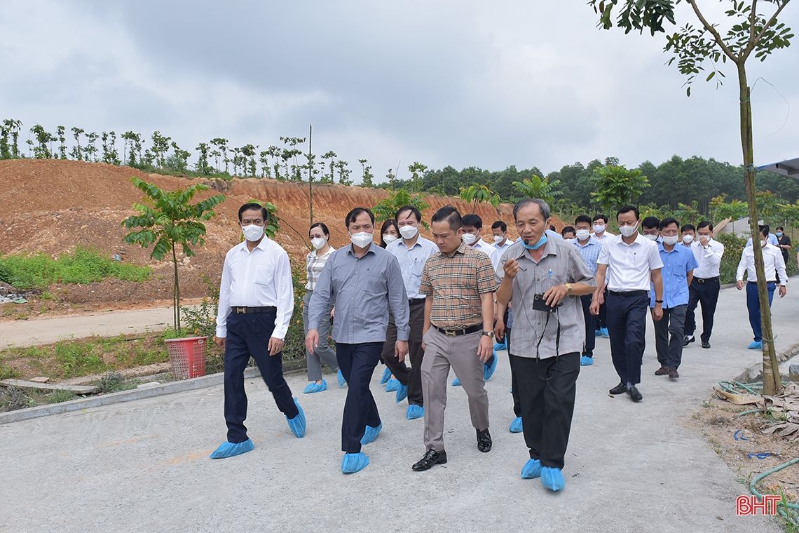 Tạo điều kiện tốt nhất để Công ty CP Tập đoàn Quế Lâm phát triển nông nghiệp hữu cơ trên địa bàn Hà Tĩnh