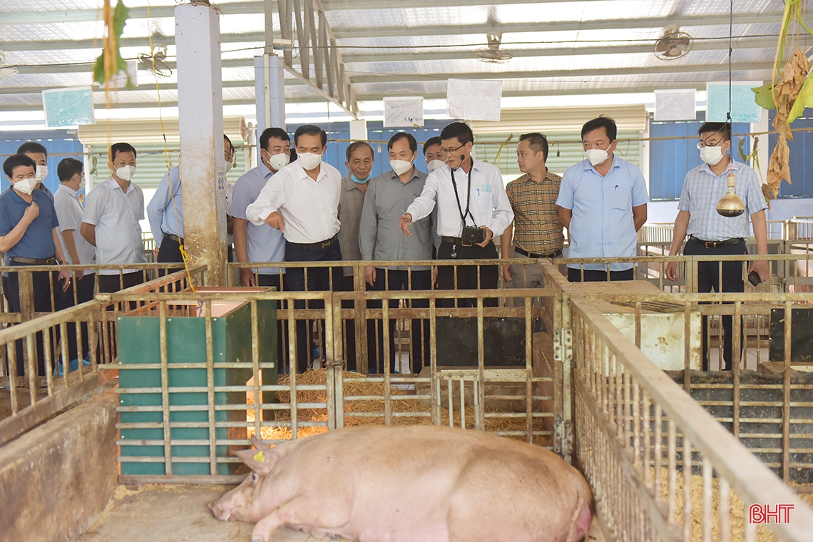 Lãnh đạo tỉnh Hà Tĩnh mong muốn Công ty CP Tập đoàn Quế Lâm chia sẻ kinh nghiệm sản xuất nông nghiệp hữu cơ