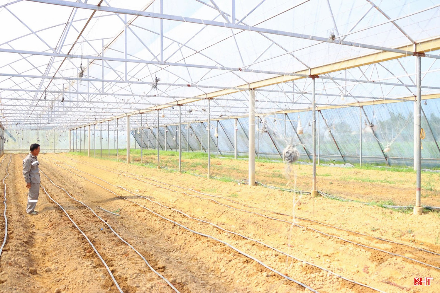 Nông dân Đức Thọ nhanh chóng khôi phục nhà màng bị thiệt hại sau các đợt thiên tai năm 2025