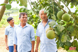 Cựu lính Trường Sa hồi sinh vùng "đất chết"