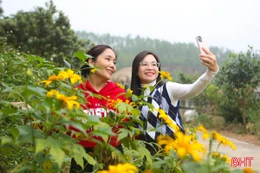 Tết này, người dân Hà Tĩnh du xuân ở đâu?