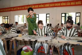 Khi nào thì bị can là phụ nữ đang nuôi con dưới 36 tháng tuổi không bị tạm giam?