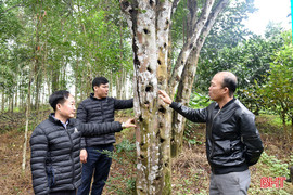 Từ “bài ca vỡ đất” đến vùng quê giàu có bậc nhất đại ngàn