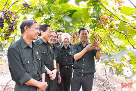 Cựu chiến binh Hà Tĩnh xung kích trên mặt trận kinh tế, giảm nghèo