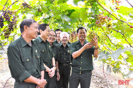 Cựu chiến binh Hà Tĩnh xung kích trên mặt trận kinh tế, giảm nghèo