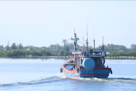 Hội Thủy sản Việt Nam phản đối lệnh cấm đánh bắt cá đơn phương của Trung Quốc