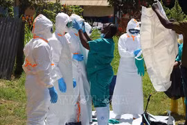 Khoảng 500 ca mắc virus Ebola được xác nhận ở Trung Phi