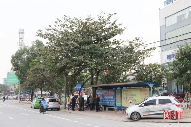 “Hoàng kim” không còn, nhiều “bác tài” vẫn bám trụ với nghề xe ôm