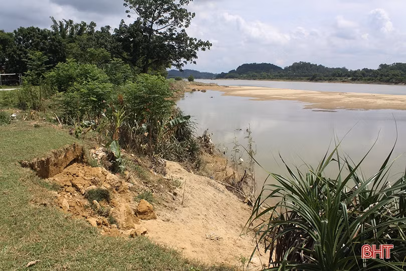 Bất an khi bờ sông Ngàn Sâu sạt lở nghiêm trọng
