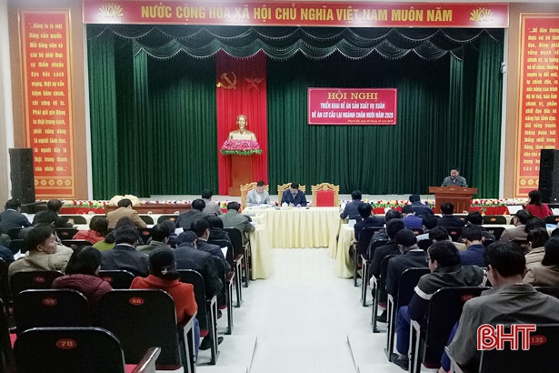 Thạch Hà tái cơ cấu lại ngành chăn nuôi sau dịch tả lợn châu Phi