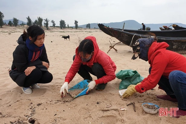Khảo sát, đánh giá môi trường liên quan đến sự cố tàu Thái Lan bị chìm ở cảng Sơn Dương