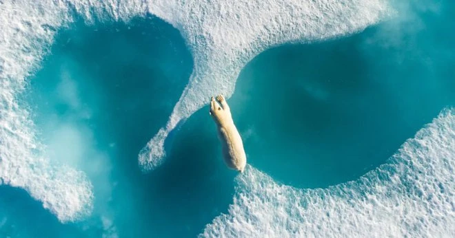 Mực nước biển đã dâng cao đến mức báo động