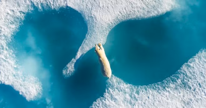 Mực nước biển đã dâng cao đến mức báo động