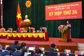 HĐND tỉnh Hà Tĩnh thảo luận về các giải pháp phát triển kinh tế, xã hội