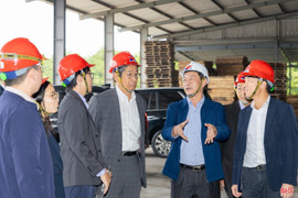 Từ thương trường đến nghị trường - kỳ vọng doanh nhân góp phần xây dựng chính sách sát thực tiễn