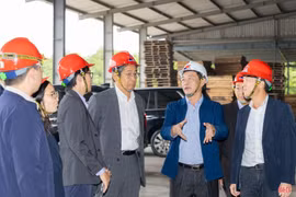 Từ thương trường đến nghị trường - kỳ vọng doanh nhân góp phần xây dựng chính sách sát thực tiễn