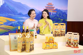 Nghệ sĩ Nhân dân Lan Hương tham gia livestream quảng bá đặc sản Hà Tĩnh