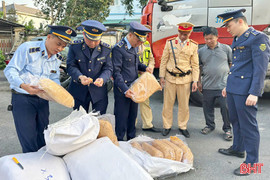 Hà Tĩnh phát hiện, tiêu hủy 300 kg chà bông không rõ nguồn gốc xuất xứ