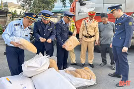 Hà Tĩnh phát hiện, tiêu hủy 300 kg chà bông không rõ nguồn gốc xuất xứ