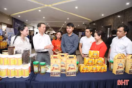 Hiến kế tháo điểm nghẽn, khơi thông động lực cho kinh tế tư nhân Hà Tĩnh
