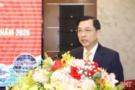 Tiếp tục tham mưu hoàn thiện các đề án phát triển khu kinh tế, khu công nghiệp