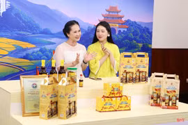 Hà Tĩnh triển khai đồng bộ các giải pháp xúc tiến thương mại