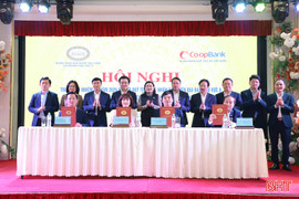 Siết chặt quản lý để Quỹ tín dụng nhân dân phát triển an toàn, bền vững