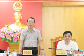 UBND tỉnh Hà Tĩnh làm việc với Nafoods Group về phát triển chuỗi nông nghiệp công nghệ cao