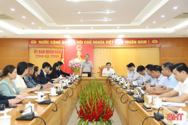 Hà Tĩnh thúc đẩy hợp tác với Nafoods Group, xây dựng hệ sinh thái nông nghiệp công nghệ cao 