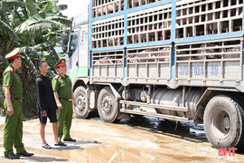 Hà Tĩnh quyết liệt trong cuộc chiến với thực phẩm bẩn 