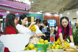 Nhiều đặc sản Hà Tĩnh “cháy hàng” tại Hội chợ mùa Thu