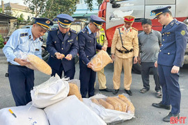 Quản lý thị trường Hà Tĩnh xử lý gần 200 vụ vi phạm dịp cao điểm Tết