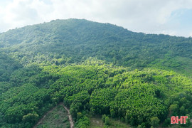 Vi phạm trong lĩnh vực đất đai, 1 trường hợp bị xử phạt 45 triệu đồng