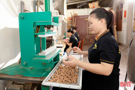 Tổ chức bình chọn sản phẩm công nghiệp nông thôn tiêu biểu Hà Tĩnh trước 30/6